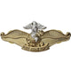 Navy Fleet Marine Force Chaplain Officer Badge