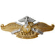 Navy Fleet Marine Force Officer Badge