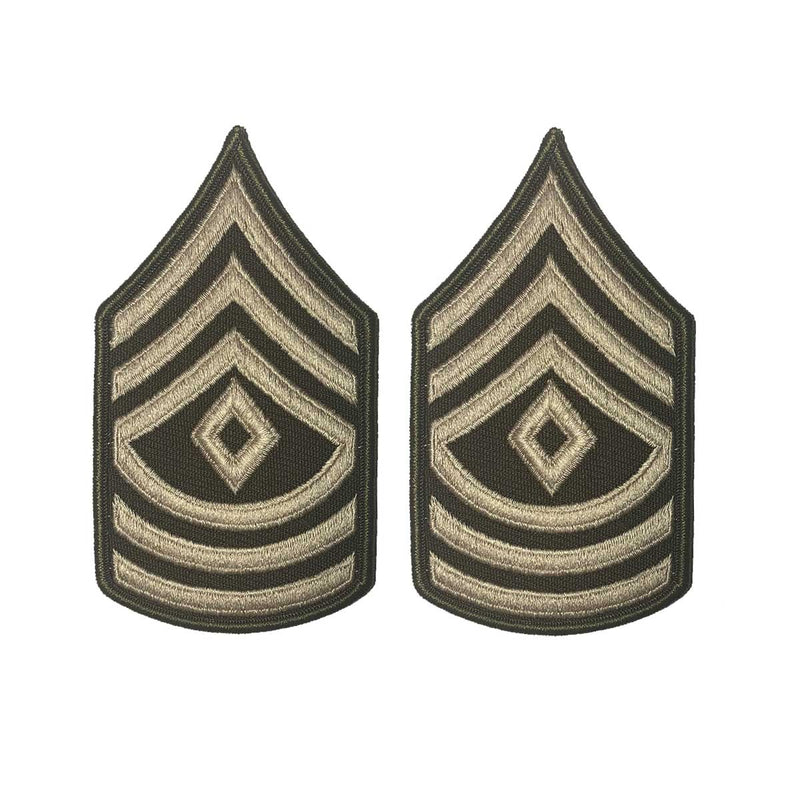 AGSU Enlisted Rank Patches