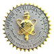Defense Intelligence Agency Identification Badge