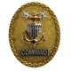 Coast Guard Badge: Enlisted Advisor E9 Command: Master