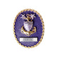 Coast Guard Badge: Enlisted Advisor E9 Command RFMC Blue Background