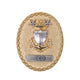 Coast Guard Badge: Enlisted Advisor E9 DCO