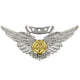 Marine Corps Combat Aircrew Badge