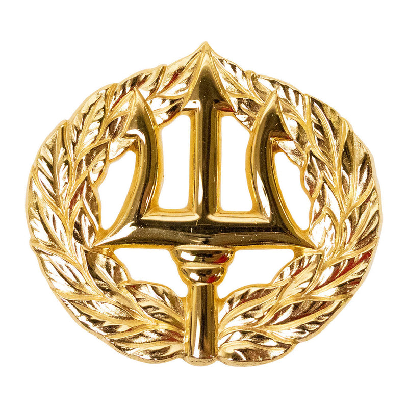 Navy Command Ashore Badge