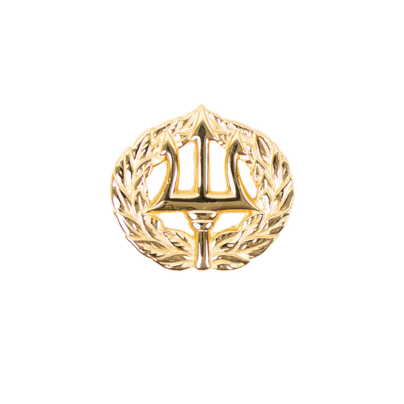 Navy Command Ashore Badge