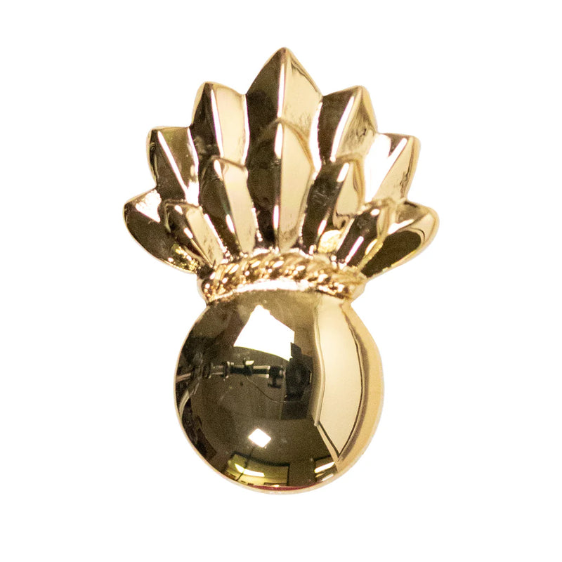 Navy Warrant Officer Collar Devices