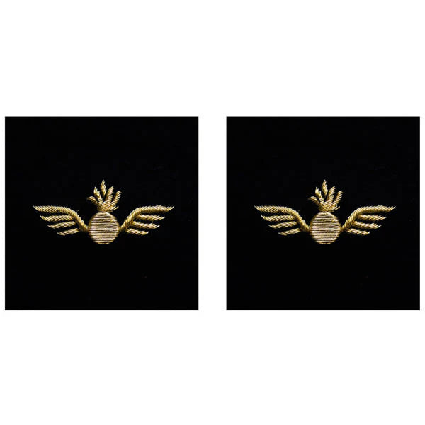 Navy Warrant Officer Sleeve Devices