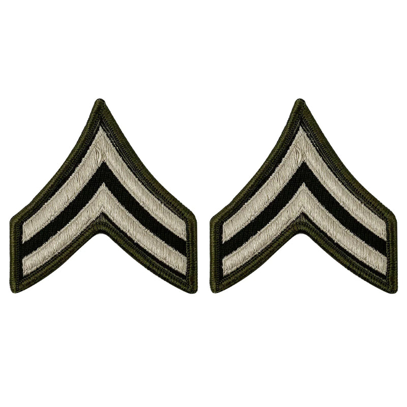 AGSU Enlisted Rank Patches