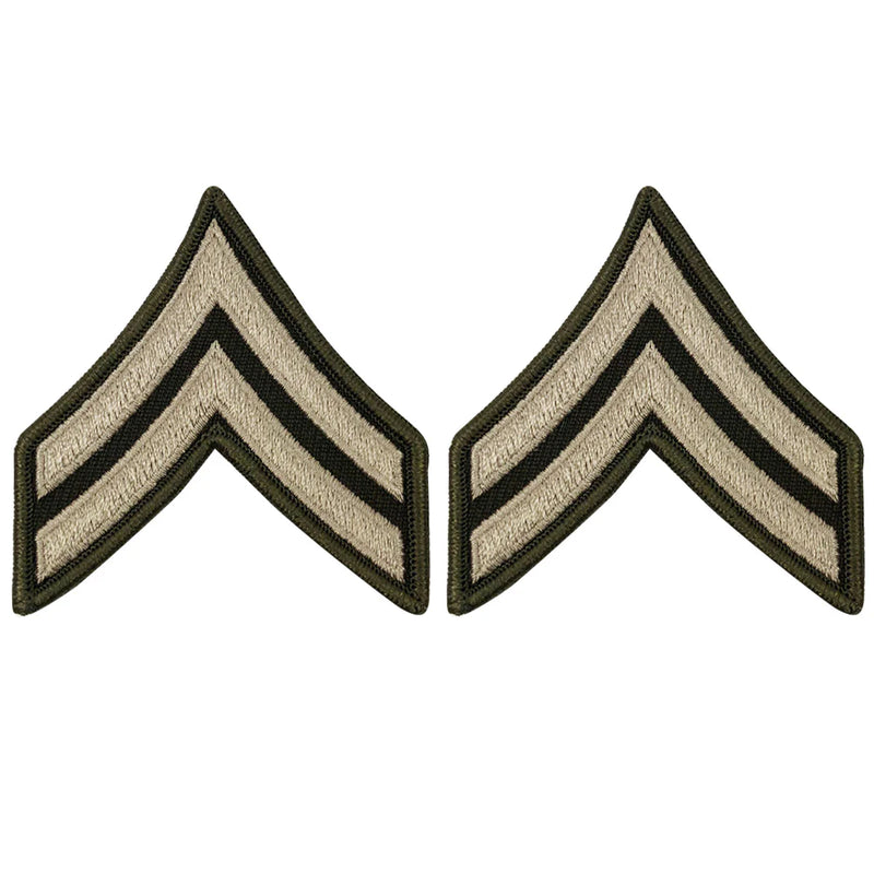 AGSU Enlisted Rank Patches