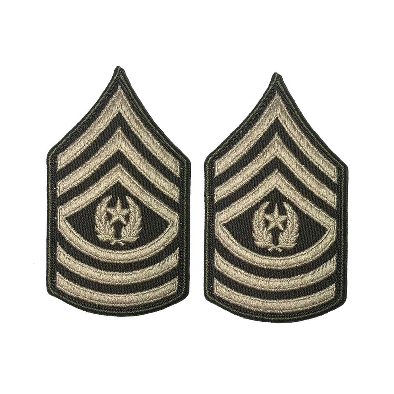 AGSU Enlisted Rank Patches