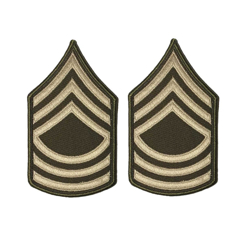 AGSU Enlisted Rank Patches