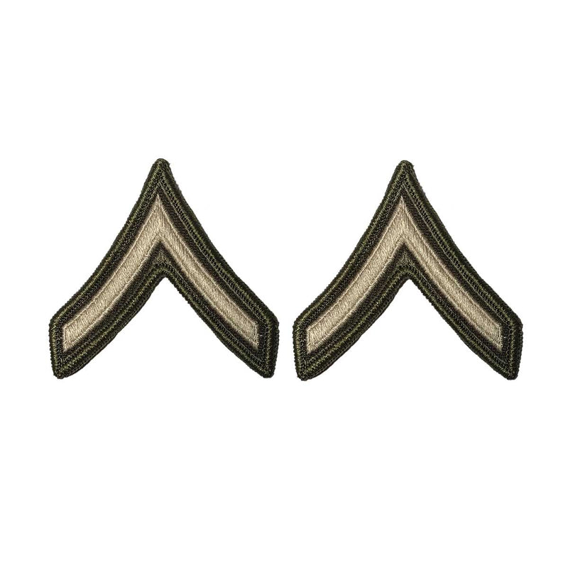 AGSU Enlisted Rank Patches