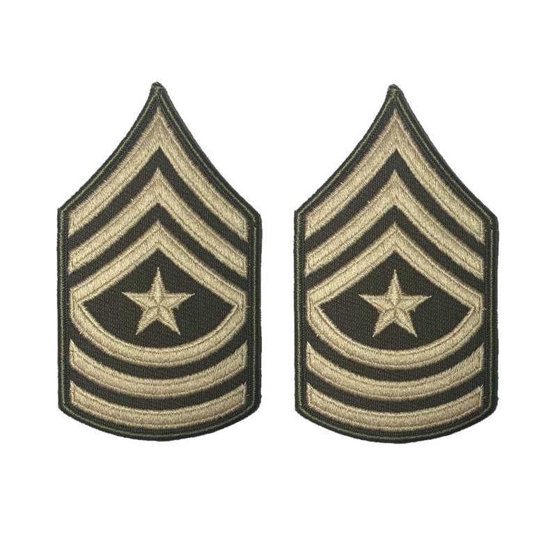 AGSU Enlisted Rank Patches