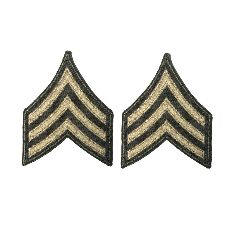 AGSU Enlisted Rank Patches