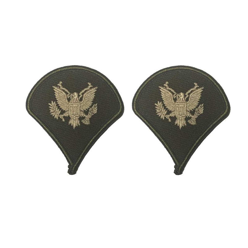 AGSU Enlisted Rank Patches