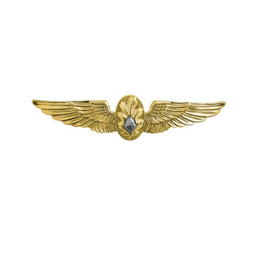 Naval Flight Surgeon Wings