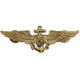 Naval Astronaut Aviator Wings
