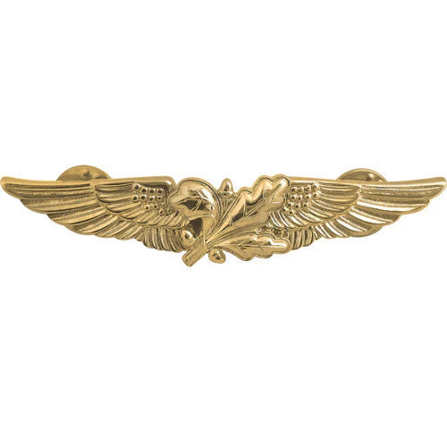 Navy Aviation Supply Officer Badge