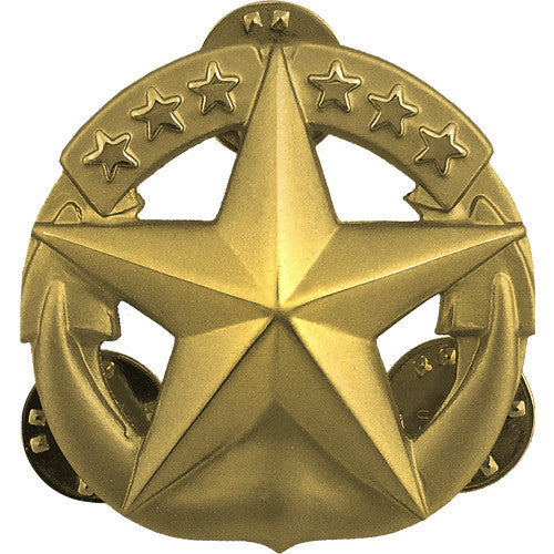 Navy Command at Sea Badge