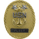 Navy Fleet Master Chief Badge