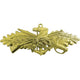 Navy Seabee Combat Warfare Specialist Officer Badge