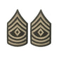 AGSU Enlisted Rank Patches