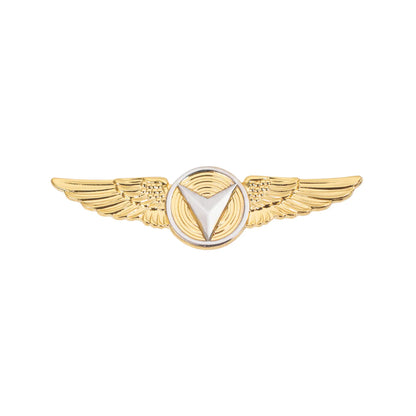 Marine Corps Badge: Unmanned Aircraft Systems (UAS) Enlisted