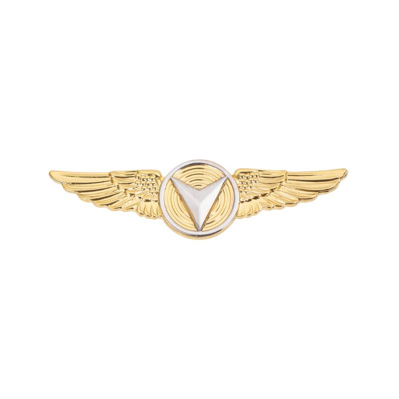 Marine Corps Badge: Unmanned Aircraft Systems (UAS) Enlisted