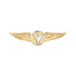 Marine Corps Badge: Unmanned Aircraft Systems (UAS) Enlisted