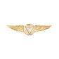Marine Corps Badge: Unmanned Aircraft Systems (UAS) Enlisted