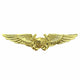 Naval Astronaut (NFO) Wings