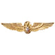 Naval Flight Surgeon Wings