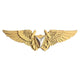 Naval Aerial Vehicle Pilot Wings