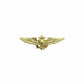 Naval Astronaut Aviator Wings