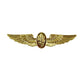 Naval Medical Service Corps Flight Officer Wings