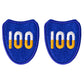 Army Patch: 100th Infantry Training Division