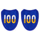 Army Patch: 100th Infantry Training Division