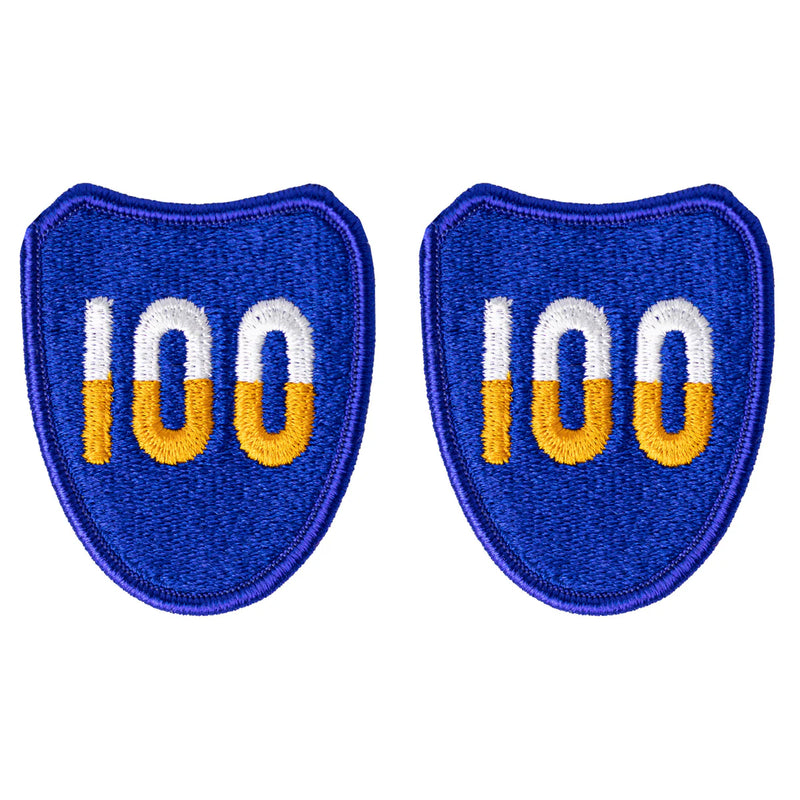 Army Patch: 100th Infantry Training Division
