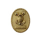 Coast Guard Badge: Enlisted Advisor E9 Command: Master