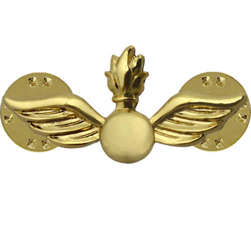 Navy Warrant Officer Collar Devices