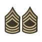 AGSU Enlisted Rank Patches