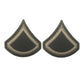 AGSU Enlisted Rank Patches