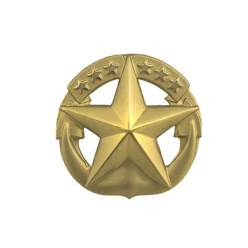 Navy Command at Sea Badge