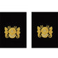 Navy Warrant Officer Sleeve Devices