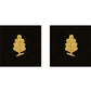 Navy Officer Sleeve Devices
