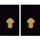 Navy Warrant Officer Sleeve Devices