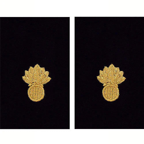 Navy Warrant Officer Sleeve Devices