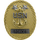 Navy Force Master Chief Badge