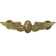 Naval Flight Nurse Wings